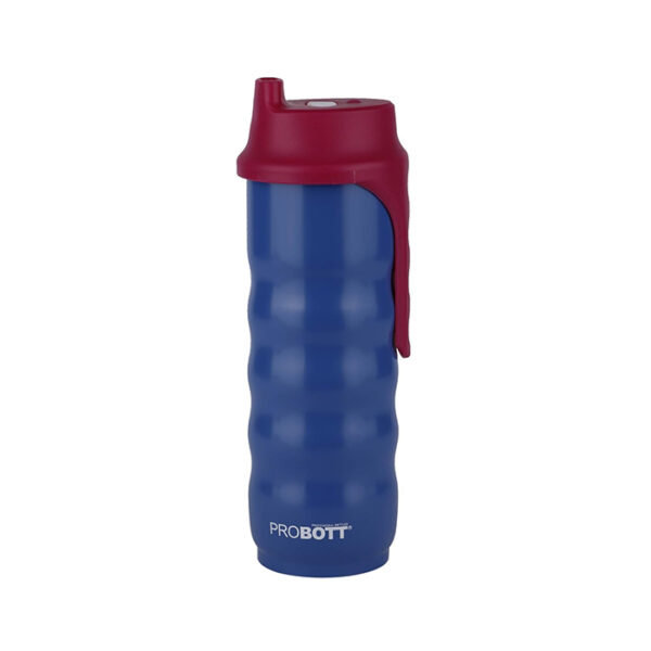 PROBOTT Spring Stainless Steel Water Bottle, Vacuum Insulated Flask Bottles, 500 ml, Blue | Hot and Cold | Easy to Carry | Leak Proof | Proteins | Sports | Office | Gym | Travel